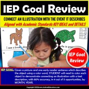 Main Idea and Key Details with a Picture and Sentence | IEP Reading Goal Review